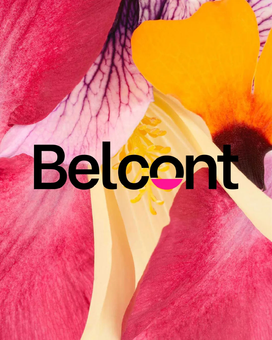Belcont
