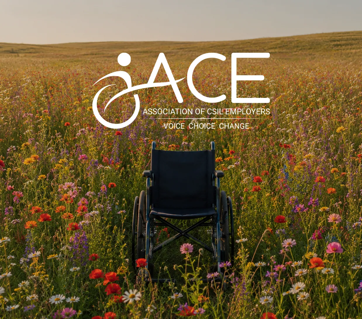 Association of CSIL Employers (ACE)