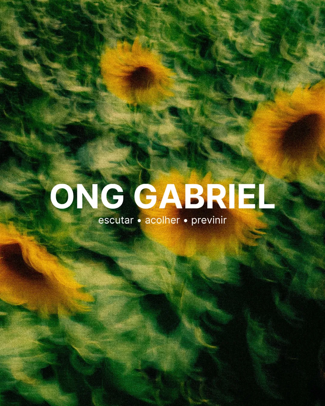 ONG Gabriel